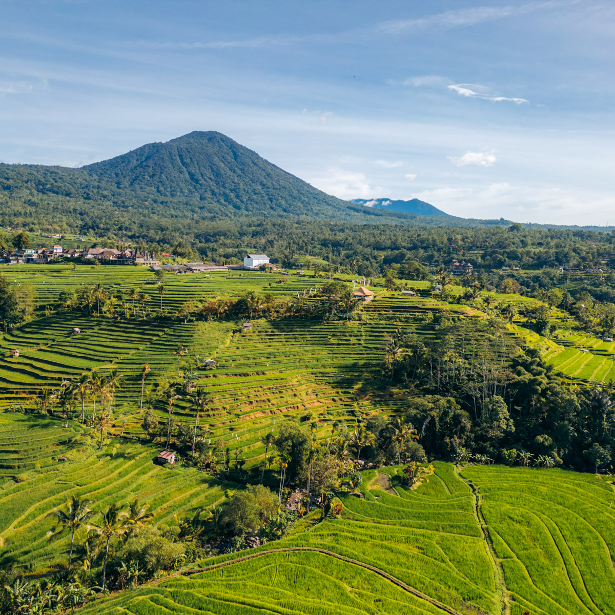 An aerial view of Jatiluwih Rice Terraces, showcasing the intricate network of rice paddies and the majestic Mount Batukaru in the background.